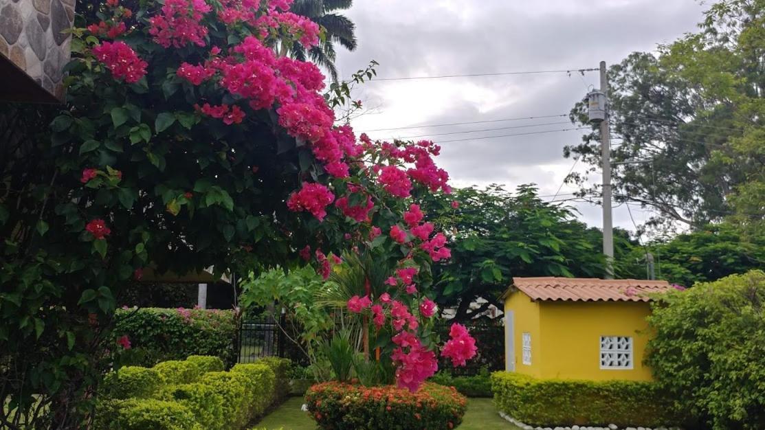 Casa De Los Suenos B&B Coronado Panama Playa Coronado Extérieur photo