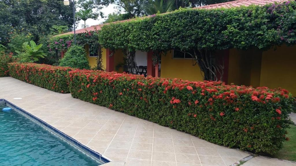 Casa De Los Suenos B&B Coronado Panama Playa Coronado Extérieur photo